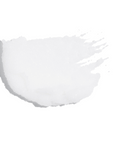 Coconut Bliss Body Scrub Manjeri Skincare