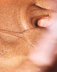 Coconut Glow Set Manjeri Skincare