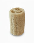 Taller 5 by 3 loofah image