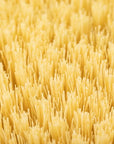 Body Brush - Manjeri Skincare
