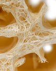 Glow Loofah - Manjeri Skincare